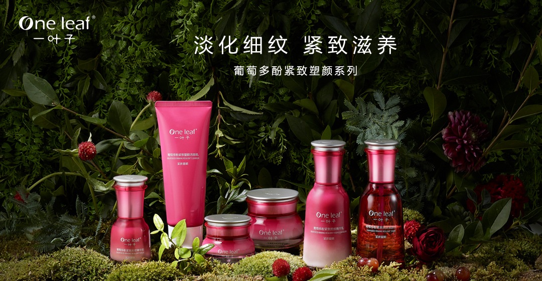一叶子鲜紧致普通多酚套装 葡写逆龄Q弹肌