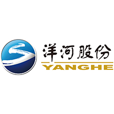 江苏洋河酒厂股份有限公司(苏酒集团)于2009年11月6日在深圳证券交易