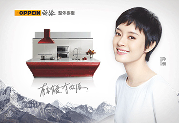 欧派衣柜cad结构图