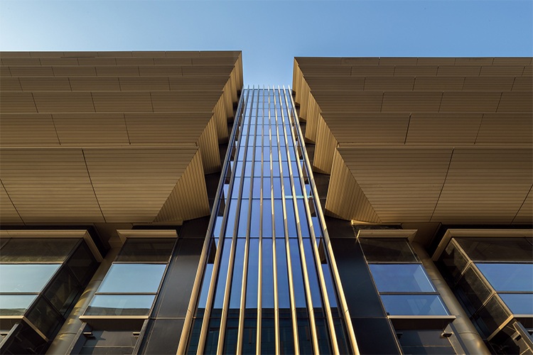 拨云见日，洞悉未来