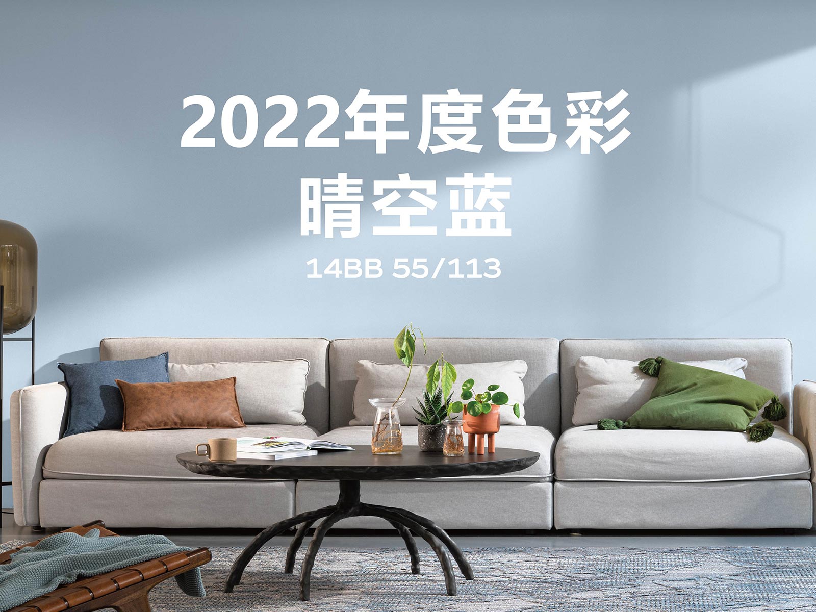 2022年度色彩晴空蓝