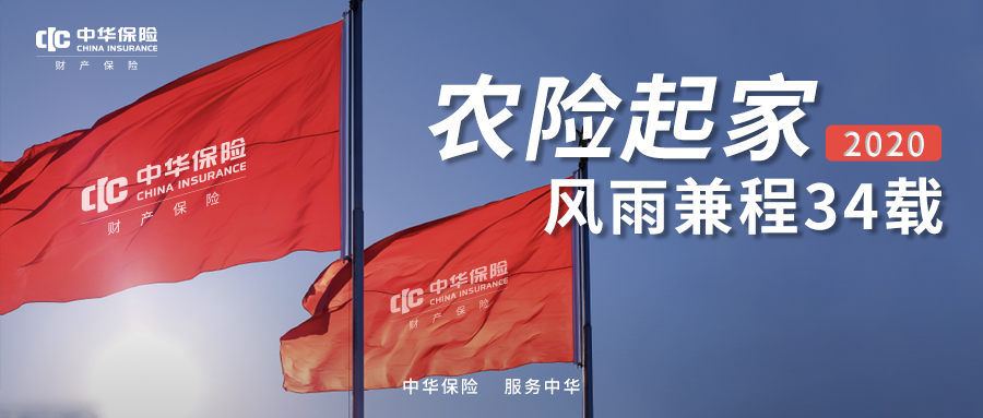 中华财险