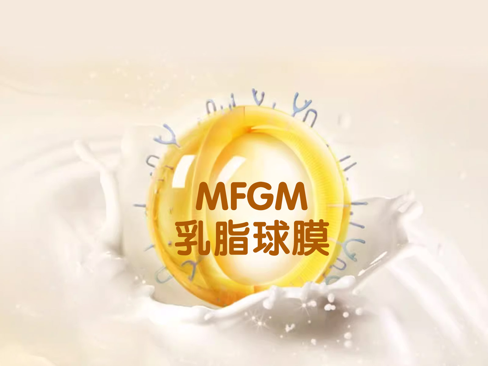 金领冠珍护，超级认知力，乳脂球膜